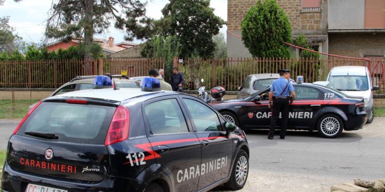 Bimba di 2 anni aggredita da pitbull, operata al Policlinico di Bari
