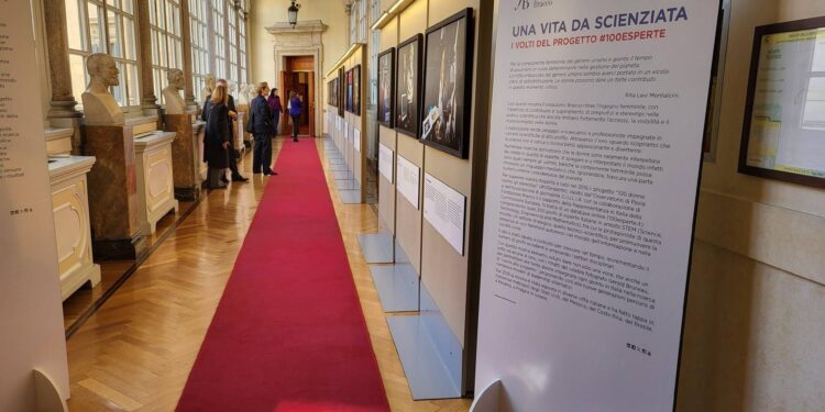 Mostre, a Palazzo Madama la Fondazione Bracco racconta l’eccellenza delle scienziate italiane