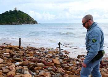 M5s, lo stop agli aiuti in Sicilia una scelta grave