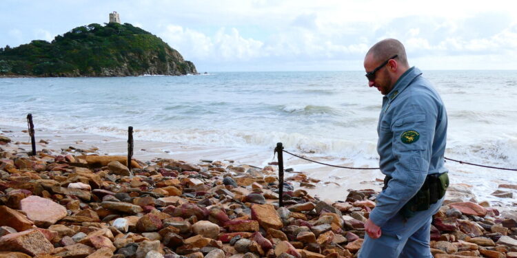 M5s, lo stop agli aiuti in Sicilia una scelta grave