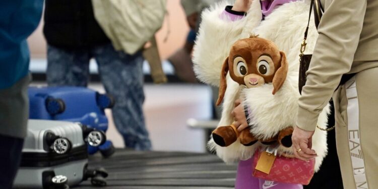 Arrivati oltre 200 italiani a Fiumicino con primo volo da Abu Dhabi