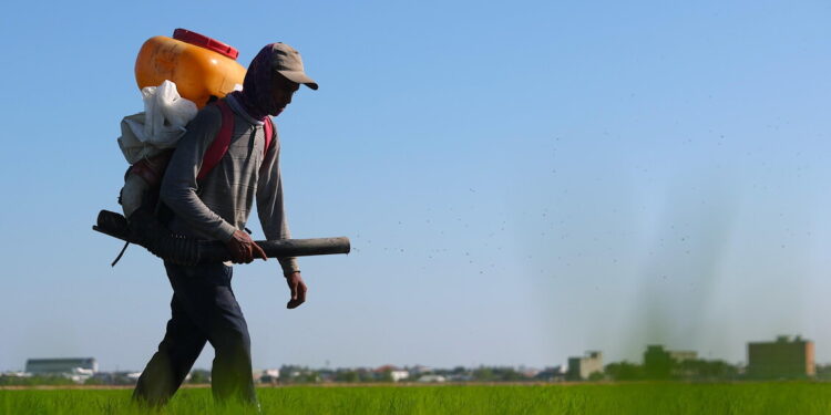 Non solo petrolio e gas, volano i prezzi dei fertilizzanti