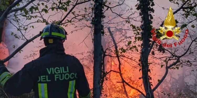 Vigili del fuoco impegnati a domare fiamme in zone lombarde