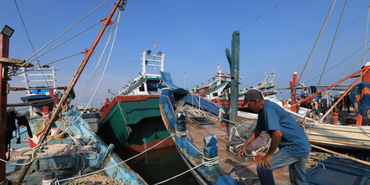 Pesca in economia di guerra, da Chioggia a Mazara uscite dimezzate