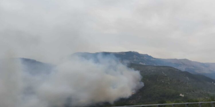 Incendi in Abruzzo, più fronti aperti, allestiti presidi notturni