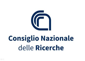 Qualità dell’aria, perché i limiti sul PM2.5 non bastano a proteggere il cuore