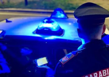Donna morta in casa con ferite da coltello, giallo a Parma