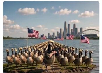 Trump posta esercito di ‘Donald Ducks’, le papere armate a difesa del Lago America