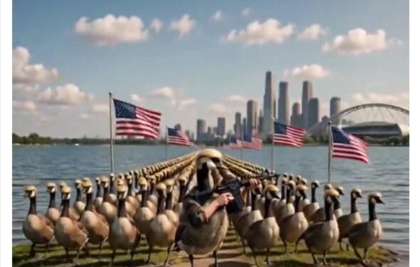 Trump posta esercito di ‘Donald Ducks’, le papere armate a difesa del Lago America