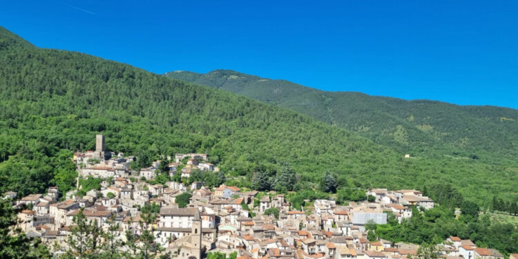 Punto da una vespa, sindacalista 38enne muore in valle Varaita