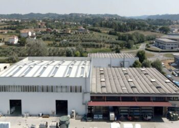Dal frantoio al mercato: la filtrazione come valore aggiunto di un olio