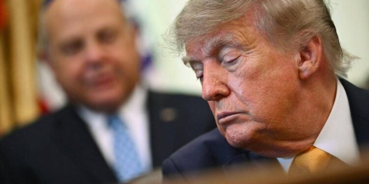 Ucraina-Russia, Trump: “Ho una proposta di pace”. Witkoff e Kushner prima da Putin e poi da Zelensky