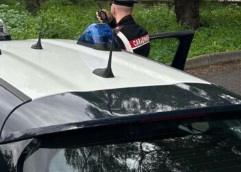 15enne ferito a coltellate a scuola, arrestato un ragazzo