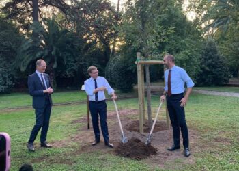 Italia-Germania, un albero per ognuno dei 75 anni delle relazioni diplomatiche: oggi piantata una quercia da Wadephul